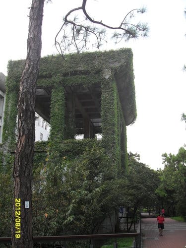 新竹順遊國立清華大學