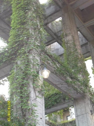 新竹順遊國立清華大學