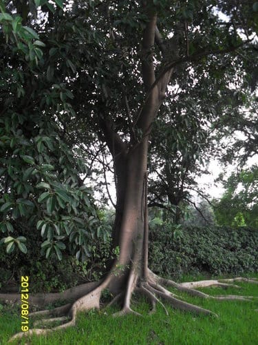 新竹順遊國立清華大學