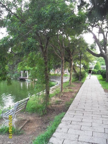 新竹順遊國立清華大學