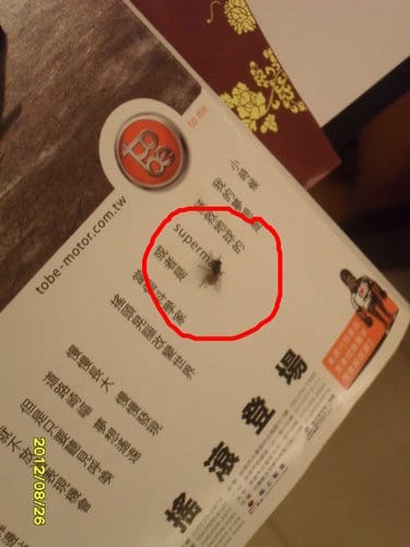 [沙鹿複合式餐廳]爵色時尚餐飲(菜單&菜色)