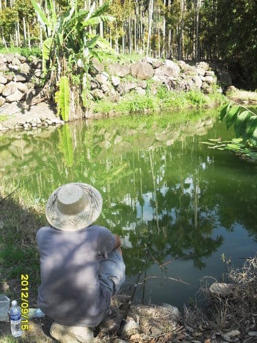 第16露國姓『黃金森林露營區』2012年新營地 - 第38張圖 第16露國姓『黃金森林露營區』2012年新營地