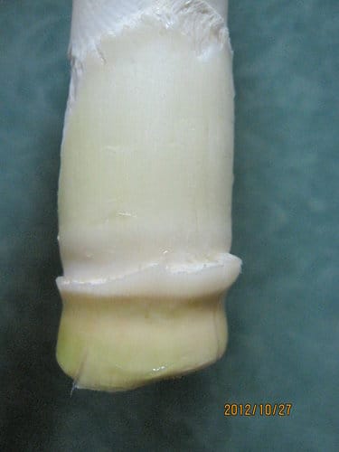 茭白筍炒雞絲 - 第5張圖 茭白筍炒雞絲