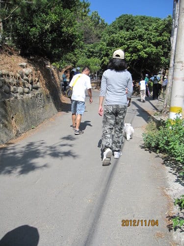 台中免費景點大坑『6號、9號、10號』登山步道爬山健行 - 第13張圖 台中免費景點大坑『6號、9號、10號』登山步道爬山健行