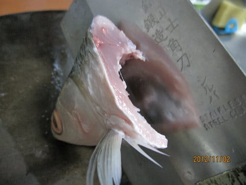 市場買回來的魚.如何殺?虱目魚去骨 - 第11張圖 市場買回來的魚.如何殺?虱目魚去骨