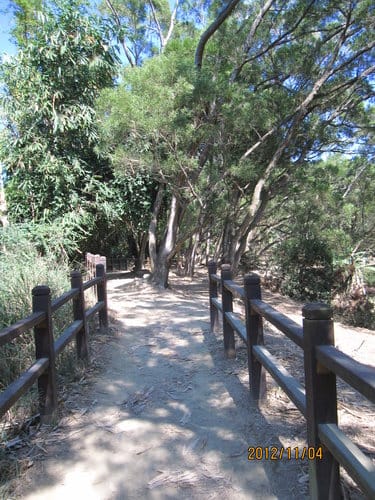 台中免費景點大坑『6號、9號、10號』登山步道爬山健行 - 第53張圖 台中免費景點大坑『6號、9號、10號』登山步道爬山健行