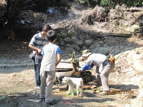 台中免費景點大坑『6號、9號、10號』登山步道爬山健行 - 第14張圖 台中免費景點大坑『6號、9號、10號』登山步道爬山健行