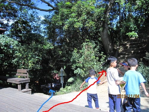 台中免費景點大坑『6號、9號、10號』登山步道爬山健行 - 第25張圖 台中免費景點大坑『6號、9號、10號』登山步道爬山健行