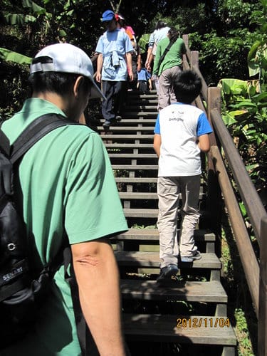 台中免費景點大坑『6號、9號、10號』登山步道爬山健行 - 第21張圖 台中免費景點大坑『6號、9號、10號』登山步道爬山健行