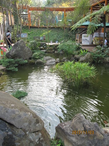 苗栗景點三義『山那邊.綠葉方舟』…在這裡拍婚紗超美