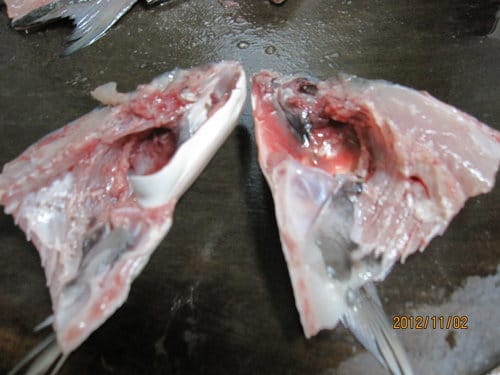 市場買回來的魚.如何殺?虱目魚去骨 - 第12張圖 市場買回來的魚.如何殺?虱目魚去骨