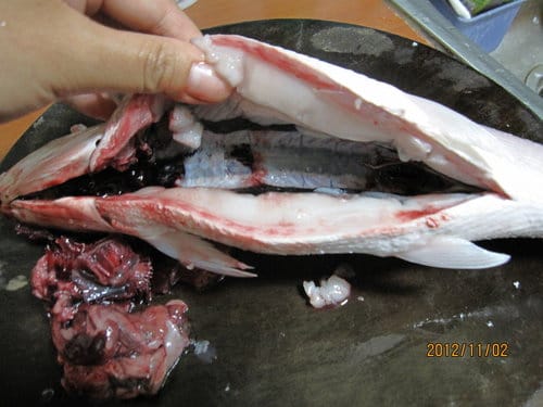 市場買回來的魚.如何殺?虱目魚去骨 - 第3張圖 市場買回來的魚.如何殺?虱目魚去骨