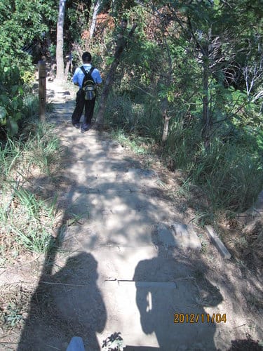 台中免費景點大坑『6號、9號、10號』登山步道爬山健行 - 第37張圖 台中免費景點大坑『6號、9號、10號』登山步道爬山健行