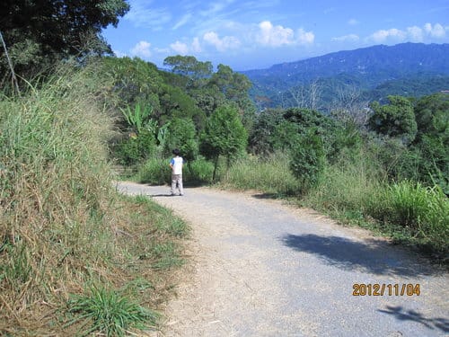 台中免費景點大坑『6號、9號、10號』登山步道爬山健行 - 第40張圖 台中免費景點大坑『6號、9號、10號』登山步道爬山健行