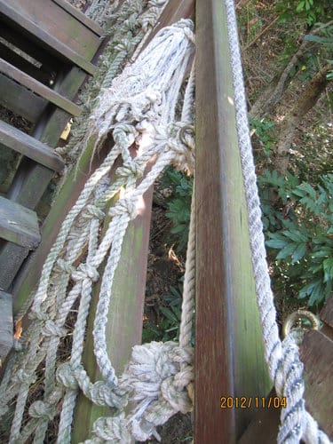 台中免費景點大坑『6號、9號、10號』登山步道爬山健行 - 第47張圖 台中免費景點大坑『6號、9號、10號』登山步道爬山健行