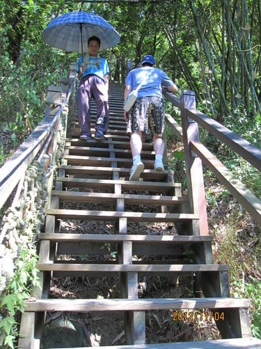 台中免費景點大坑『6號、9號、10號』登山步道爬山健行 - 第45張圖 台中免費景點大坑『6號、9號、10號』登山步道爬山健行