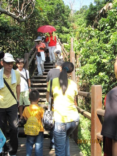 台中免費景點大坑『6號、9號、10號』登山步道爬山健行 - 第20張圖 台中免費景點大坑『6號、9號、10號』登山步道爬山健行