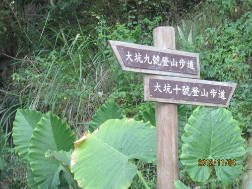 台中免費景點大坑『6號、9號、10號』登山步道爬山健行 - 第12張圖 台中免費景點大坑『6號、9號、10號』登山步道爬山健行