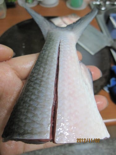市場買回來的魚.如何殺?虱目魚去骨 - 第14張圖 市場買回來的魚.如何殺?虱目魚去骨