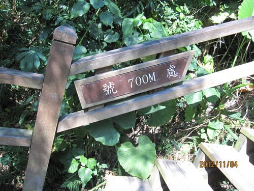 台中免費景點大坑『6號、9號、10號』登山步道爬山健行 - 第50張圖 台中免費景點大坑『6號、9號、10號』登山步道爬山健行