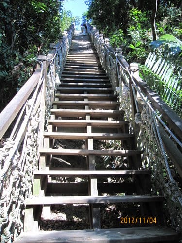 台中免費景點大坑『6號、9號、10號』登山步道爬山健行 - 第51張圖 台中免費景點大坑『6號、9號、10號』登山步道爬山健行