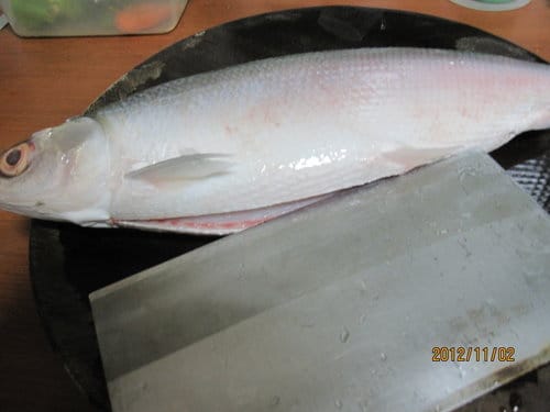 市場買回來的魚.如何殺?虱目魚去骨 - 第2張圖 市場買回來的魚.如何殺?虱目魚去骨