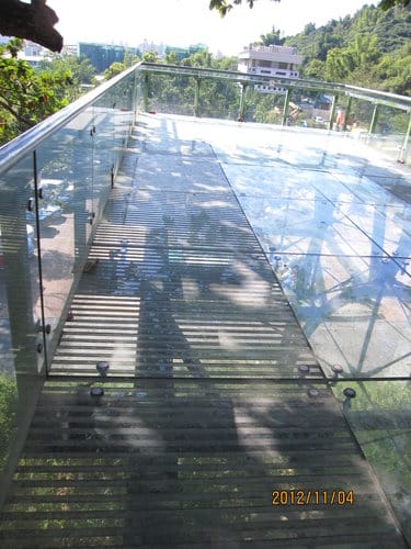 台中免費景點大坑『6號、9號、10號』登山步道爬山健行 - 第8張圖 台中免費景點大坑『6號、9號、10號』登山步道爬山健行