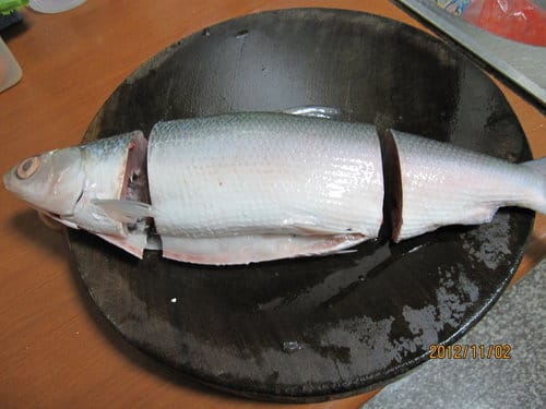 市場買回來的魚.如何殺?虱目魚去骨 - 第6張圖 市場買回來的魚.如何殺?虱目魚去骨