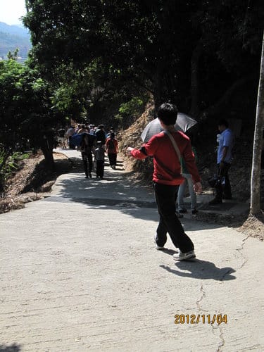 台中免費景點大坑『6號、9號、10號』登山步道爬山健行 - 第16張圖 台中免費景點大坑『6號、9號、10號』登山步道爬山健行