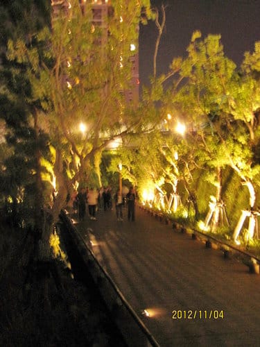 台中市很夯的新景點秋紅谷生態觀公園(夜景篇) - 第5張圖 台中市很夯的新景點秋紅谷生態觀公園(夜景篇)