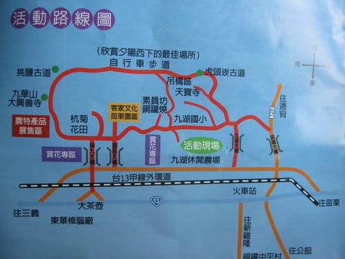 苗栗景點『銅鑼杭菊芋頭節』季節限定賞菊景點 - 第2張圖 苗栗景點『銅鑼杭菊芋頭節』季節限定賞菊景點