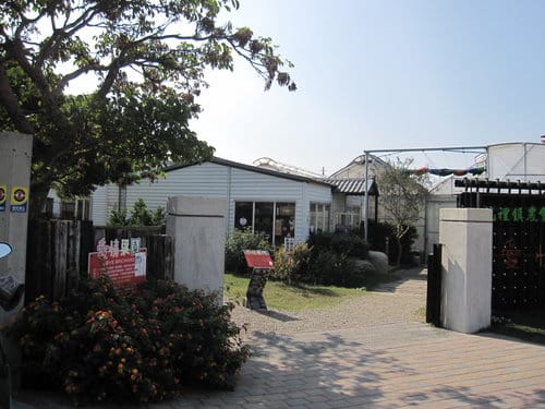 (苗栗景點)來趟苑裡山腳農會『彩繪稻田』 順遊藺草文化館愛情果園 - 第25張圖 (苗栗景點)來趟苑裡山腳農會『彩繪稻田』 順遊藺草文化館愛情果園