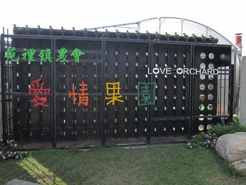 (苗栗景點)來趟苑裡山腳農會『彩繪稻田』 順遊藺草文化館愛情果園 - 第24張圖 (苗栗景點)來趟苑裡山腳農會『彩繪稻田』 順遊藺草文化館愛情果園