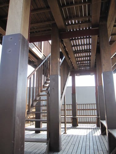 (苗栗景點)來趟苑裡山腳農會『彩繪稻田』 順遊藺草文化館愛情果園 - 第5張圖 (苗栗景點)來趟苑裡山腳農會『彩繪稻田』 順遊藺草文化館愛情果園