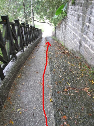 苗栗景點/明德水庫、魯冰花農莊、南岸東側步道永春宮親子遊 - 第43張圖 苗栗景點/明德水庫、魯冰花農莊、南岸東側步道永春宮親子遊