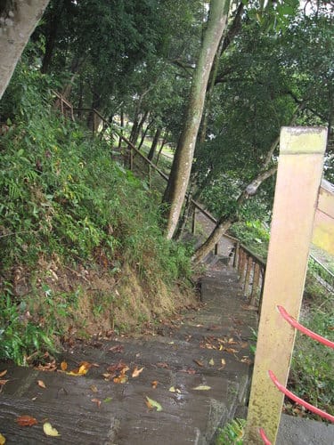 苗栗景點/明德水庫、魯冰花農莊、南岸東側步道永春宮親子遊 - 第33張圖 苗栗景點/明德水庫、魯冰花農莊、南岸東側步道永春宮親子遊