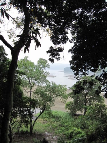 苗栗景點/明德水庫、魯冰花農莊、南岸東側步道永春宮親子遊 - 第31張圖 苗栗景點/明德水庫、魯冰花農莊、南岸東側步道永春宮親子遊