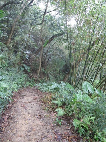 苗栗景點/明德水庫、魯冰花農莊、南岸東側步道永春宮親子遊 - 第12張圖 苗栗景點/明德水庫、魯冰花農莊、南岸東側步道永春宮親子遊