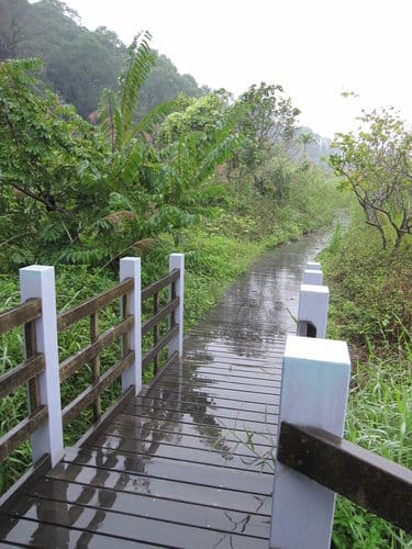 苗栗景點/明德水庫、魯冰花農莊、南岸東側步道永春宮親子遊 - 第4張圖 苗栗景點/明德水庫、魯冰花農莊、南岸東側步道永春宮親子遊