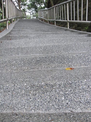 苗栗景點/明德水庫、魯冰花農莊、南岸東側步道永春宮親子遊 - 第29張圖 苗栗景點/明德水庫、魯冰花農莊、南岸東側步道永春宮親子遊