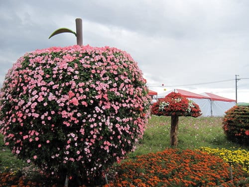 2012 新社花海台中國際花毯節 七彩花毯…美美美 (上)