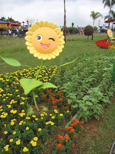 2012 新社花海台中國際花毯節 七彩花毯…美美美 (上)