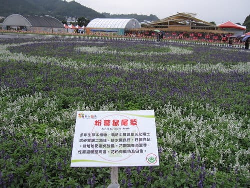 2012 新社花海台中國際花毯節 七彩花毯…美美美 (上)