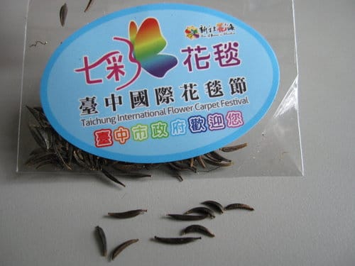 2012 新社花海台中國際花毯節 七彩花毯…美美美 (上)