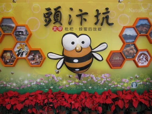 2012 新社花海台中國際花毯節 七彩花毯…美美美 (上)