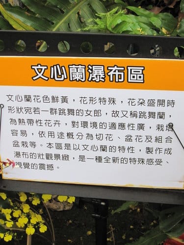2012 新社花海台中國際花毯節 七彩花毯…美美美 (上)
