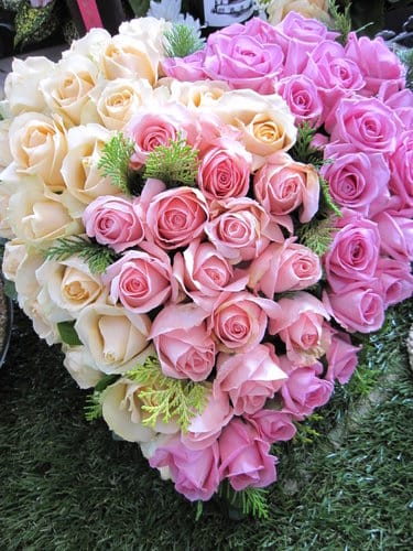 2012 新社花海台中國際花毯節 七彩花毯…美美美 (上)