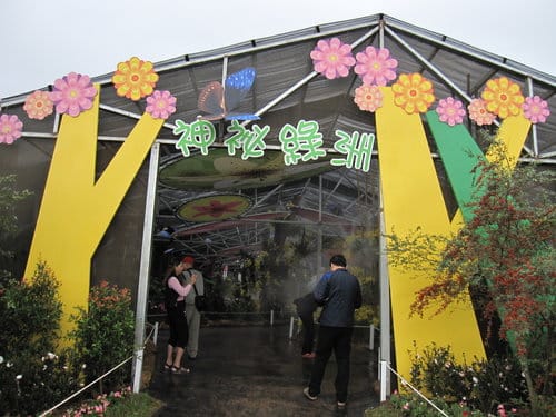 2012 新社花海台中國際花毯節 七彩花毯…美美美 (上)