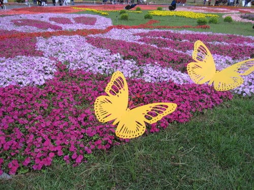 2012 新社花海台中國際花毯節 七彩花毯…美美美 (上)