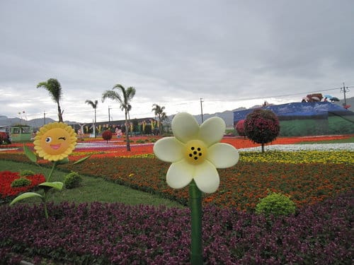 2012 新社花海台中國際花毯節 七彩花毯…美美美 (上)